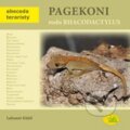 Kniha: Pagekoni rodu Rhacodactylus (Lubomír Klátil). Robimaus, 2010 Kniha: Pagekoni rodu Rhacodactylus (Lubomír Klátil). Robimaus, 2010