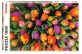 Puzzle: Tulipány (Piatnik). Piatnik, 2021 Puzzle: Tulipány (Piatnik). Piatnik, 2021