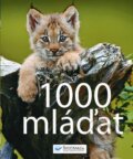 Kniha: 1000 mláďat (Svojtka&Co.). Svojtka&Co., 2010 Kniha: 1000 mláďat (Svojtka&Co.). Svojtka&Co., 2010