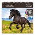 Horses, Helma365, 2021