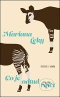 Kniha: Co je odtud vidět (Mariana Leky). Prostor, 2021 Kniha: Co je odtud vidět (Mariana Leky). Prostor, 2021