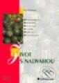 Kniha: Život s nadváhou (Eva Štolbová). Grada Kniha: Život s nadváhou (Eva Štolbová). Grada