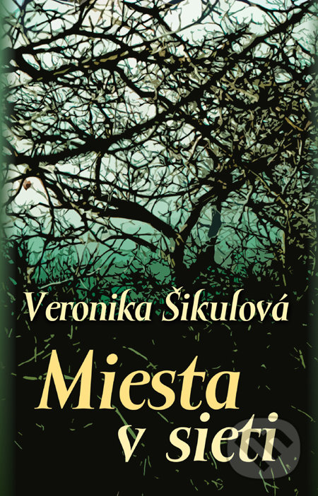 Miesta v sieti - Veronika Šikulová, Slovart, 2011