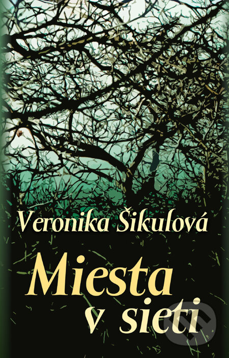 Kniha: Miesta v sieti (Veronika Šikulová). Slovart, 2011 Kniha: Miesta v sieti (Veronika Šikulová). Slovart, 2011