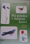 Kniha: Pri potoku v hustom kroví (Miroslav Kachnič). PaRPress, 2001 Kniha: Pri potoku v hustom kroví (Miroslav Kachnič). PaRPress, 2001