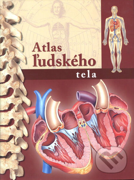 Kniha: Atlas ľudského tela (Peter Abrahams). AHR book, 2011 Kniha: Atlas ľudského tela (Peter Abrahams). AHR book, 2011