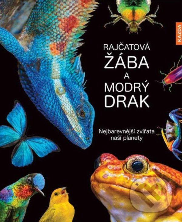 Kniha: Rajčatová žába a modrý drak (Andrea Köhrsen). Nakladatelství KAZDA, 2021 Kniha: Rajčatová žába a modrý drak (Andrea Köhrsen). Nakladatelství KAZDA, 2021