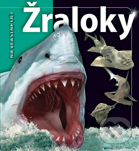 Kniha: Žraloky (Beverly McMillan a John A. Musick). Slovart, 2012 Kniha: Žraloky (Beverly McMillan a John A. Musick). Slovart, 2012