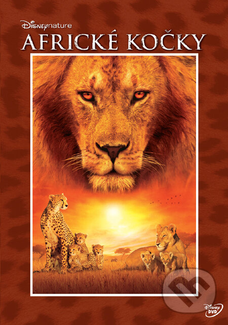 Film: Africké kočky: Království odvahy (Alastair Fothergill) (DVD). Magicbox Film: Africké kočky: Království odvahy (Alastair Fothergill) (DVD). Magicbox