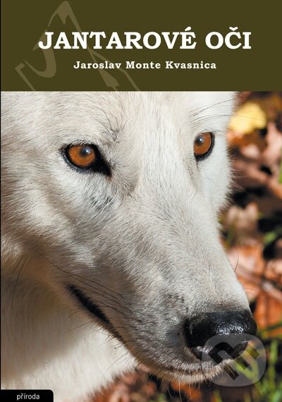 Kniha: Jantarové oči (Jaroslav Monte Kvasnica). Élysion, 2011 Kniha: Jantarové oči (Jaroslav Monte Kvasnica). Élysion, 2011