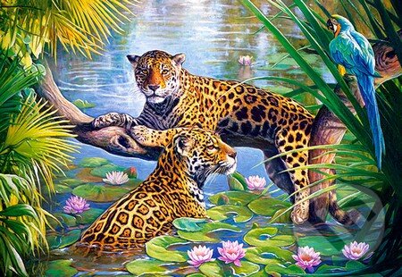 Puzzle: Rest on the branch (Castorland). Castorland Puzzle: Rest on the branch (Castorland). Castorland