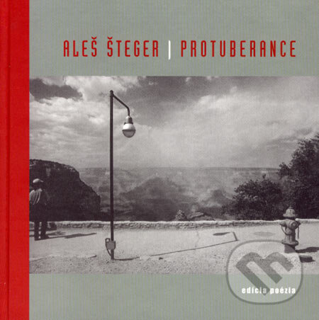 Kniha: Protuberance (Aleš Šteger). Drewo a srd, 2002 Kniha: Protuberance (Aleš Šteger). Drewo a srd, 2002