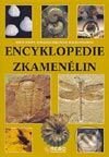 Kniha: Encyklopedie zkamenělin (Martin Ivanov, Růžena Gregorová a Stanislava Hrdličková). Rebo, 2001 Kniha: Encyklopedie zkamenělin (Martin Ivanov, Růžena Gregorová a Stanislava Hrdličková). Rebo, 2001