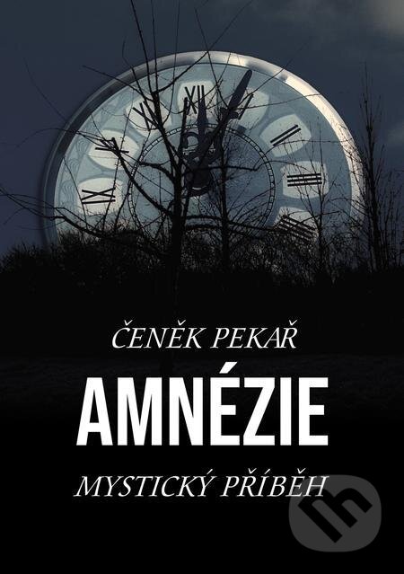 E-kniha: Amnézie (Čeněk Pekař). E-knihy jedou E-kniha: Amnézie (Čeněk Pekař). E-knihy jedou