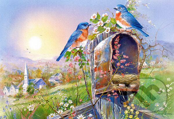 Birds and Mailbox - Andres Orpinas, Castorland