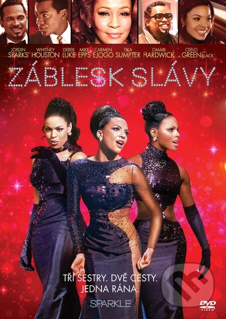 Záblesk slávy - Salim Akil, Bonton Film, 2013