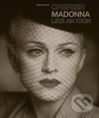 Cherish Madonna Like an Icon - David Foy, Ivy Press, 2013