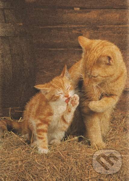 Puzzle: Ginger Cats (Clementoni). Clementoni, 2013 Puzzle: Ginger Cats (Clementoni). Clementoni, 2013