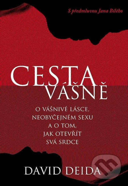 E-kniha: Cesta vášně (David Deida). Synergie, 2012 E-kniha: Cesta vášně (David Deida). Synergie, 2012