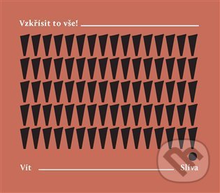 Kniha: Vzkřísit to vše! (Vít Slíva). Perplex, 2022 Kniha: Vzkřísit to vše! (Vít Slíva). Perplex, 2022