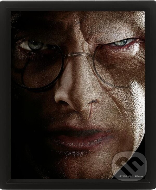 Harry Potter Obraz 3D - Harry vs Voldemort (EPEE). EPEE, 2022 Harry Potter Obraz 3D - Harry vs Voldemort (EPEE). EPEE, 2022