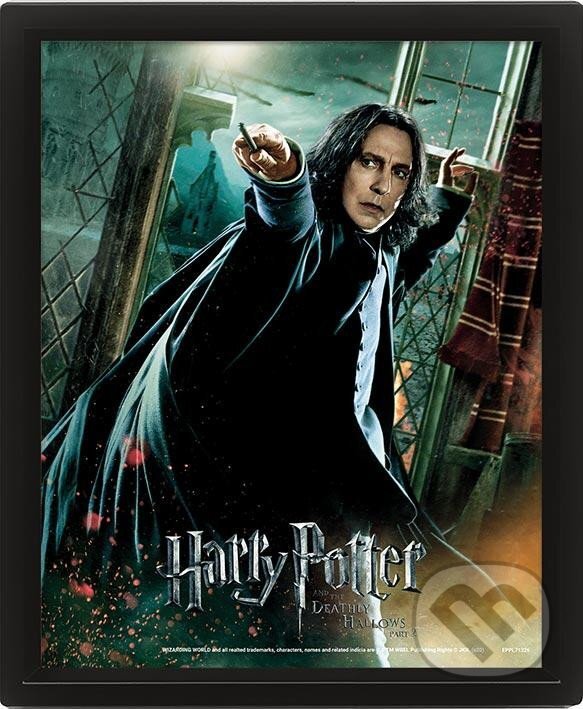 Harry Potter Obraz 3D - Snape (EPEE). EPEE, 2022 Harry Potter Obraz 3D - Snape (EPEE). EPEE, 2022