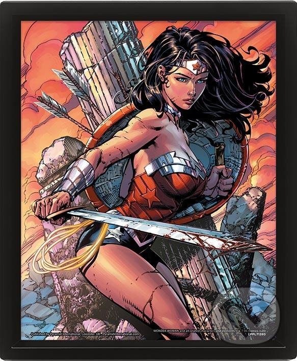 Obraz 3D Wonder Woman Battle (EPEE). EPEE, 2022 Obraz 3D Wonder Woman Battle (EPEE). EPEE, 2022
