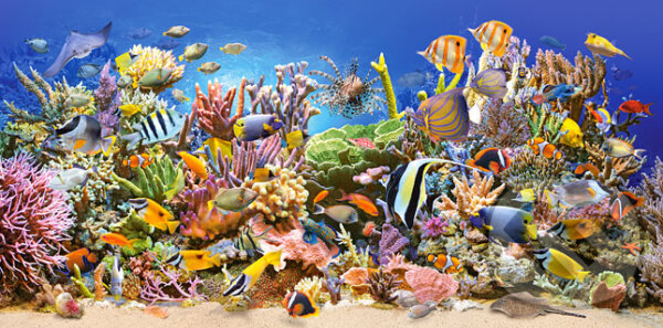 Puzzle: Underwater life (Castorland). Castorland, 2013 Puzzle: Underwater life (Castorland). Castorland, 2013