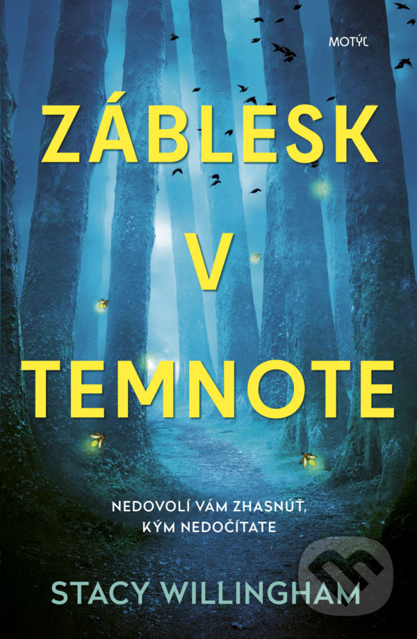Kniha: Záblesk v temnote (Stacy Willingham). Motýľ, 2022 Kniha: Záblesk v temnote (Stacy Willingham). Motýľ, 2022