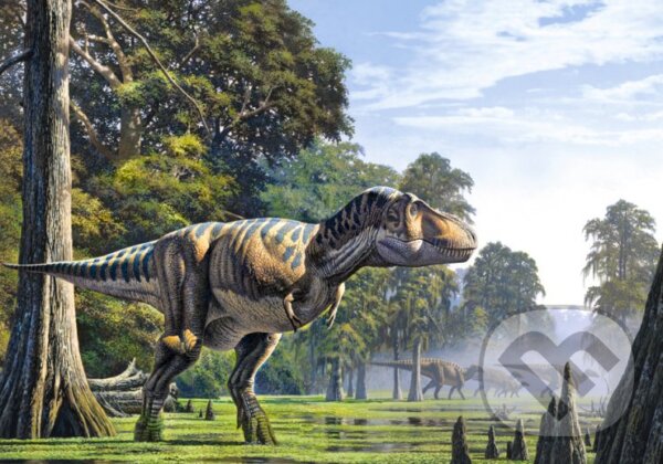 Puzzle: Tyrannosaurus (Castorland). Castorland, 2013 Puzzle: Tyrannosaurus (Castorland). Castorland, 2013