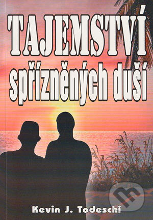 Kniha: Tajemství spřízněných duší (Kevin J. Todeschi). Eko-konzult, 2004 Kniha: Tajemství spřízněných duší (Kevin J. Todeschi). Eko-konzult, 2004