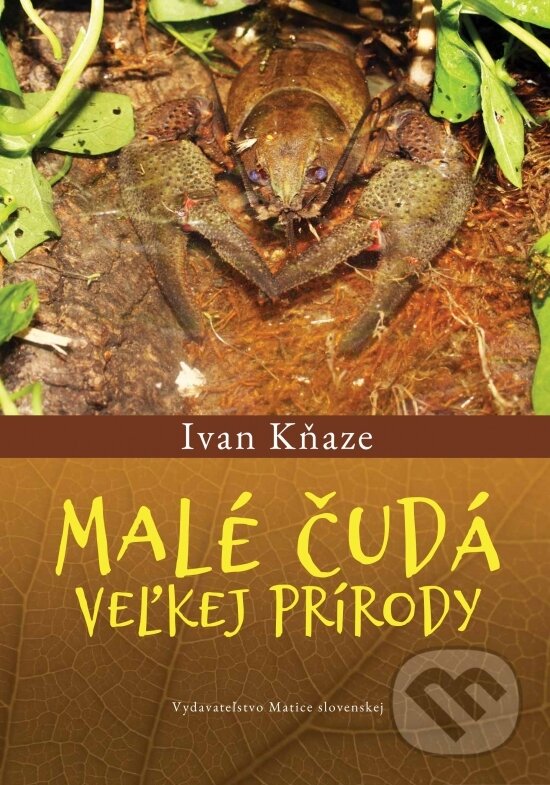Kniha: Malé čudá veľkej prírody (Ivan Kňaze). Matica slovenská, 2022 Kniha: Malé čudá veľkej prírody (Ivan Kňaze). Matica slovenská, 2022