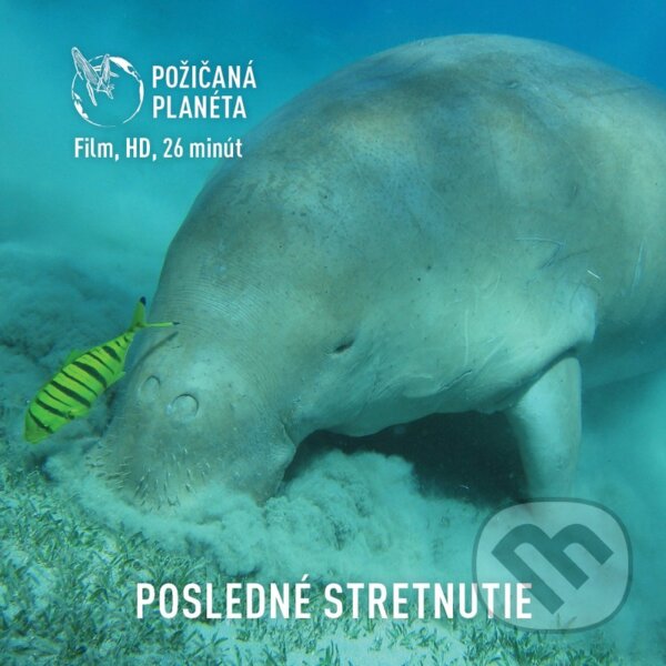 Film: Posledné stretnutie (Cesty za tichom) (DVD). Cesty za tichom, 2022 Film: Posledné stretnutie (Cesty za tichom) (DVD). Cesty za tichom, 2022