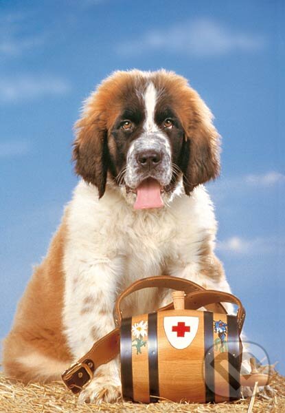 Puzzle: St. Bernardín (Castorland). Castorland Puzzle: St. Bernardín (Castorland). Castorland