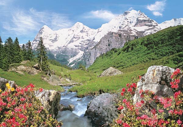 Puzzle: Bernese, Oberland, Švajčiarsko (Castorland). Castorland Puzzle: Bernese, Oberland, Švajčiarsko (Castorland). Castorland