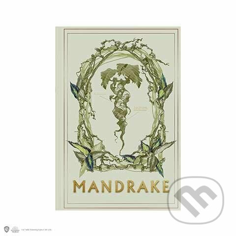 Harry Potter zápisník A5 - Mandragora (Distrineo). Distrineo, 2023 Harry Potter zápisník A5 - Mandragora (Distrineo). Distrineo, 2023