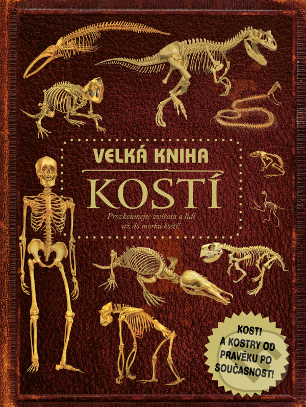 Kniha: Velká kniha kostí (Autorský kolektív). Drobek, 2023 Kniha: Velká kniha kostí (Autorský kolektív). Drobek, 2023