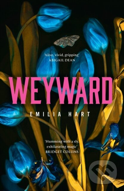 Kniha: Weyward (Emilia Hart). HarperCollins, 2023 Kniha: Weyward (Emilia Hart). HarperCollins, 2023