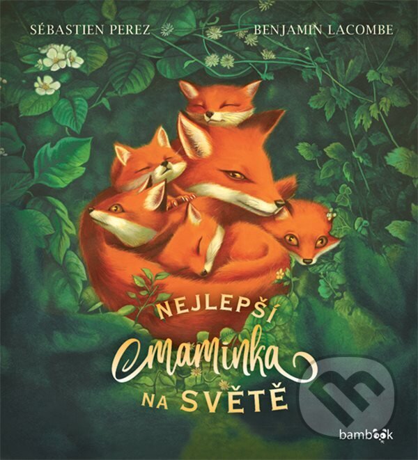 E-kniha: Nejlepší maminka na světě (Benjamin Lacombe a Sébastien Perez). Grada, 2023 E-kniha: Nejlepší maminka na světě (Benjamin Lacombe a Sébastien Perez). Grada, 2023