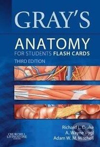 Kniha: Gray's Anatomy for Students - Flash Cards (Richard L. Drake a kolektív). Elsevier Science, 2015 Kniha: Gray's Anatomy for Students - Flash Cards (Richard L. Drake a kolektív). Elsevier Science, 2015