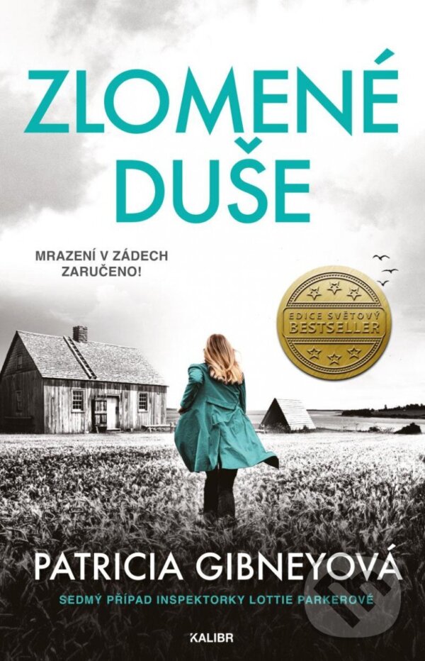 Kniha: Zlomené duše (Patricia Gibney). Kalibr, 2023 Kniha: Zlomené duše (Patricia Gibney). Kalibr, 2023