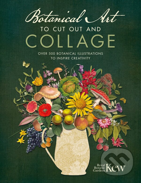 Kniha: Botanical Art to Cut Out and Collage (Kew Royal Botanic Gardens). David and Charles, 2023 Kniha: Botanical Art to Cut Out and Collage (Kew Royal Botanic Gardens). David and Charles, 2023