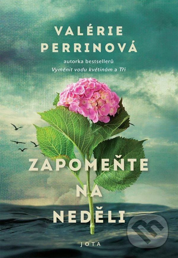 Kniha: Zapomeňte na neděli (Valérie Perrin). Jota, 2023 Kniha: Zapomeňte na neděli (Valérie Perrin). Jota, 2023