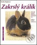 Kniha: Zakrslý králík (Monika Wegler). Vašut Kniha: Zakrslý králík (Monika Wegler). Vašut