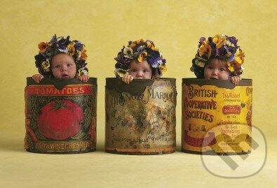 Puzzle: Deti v konzervách (Anne Geddes). Schmidt Puzzle: Deti v konzervách (Anne Geddes). Schmidt