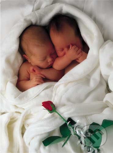 Puzzle: Milly & Natalie (Anne Geddes). Schmidt Puzzle: Milly & Natalie (Anne Geddes). Schmidt