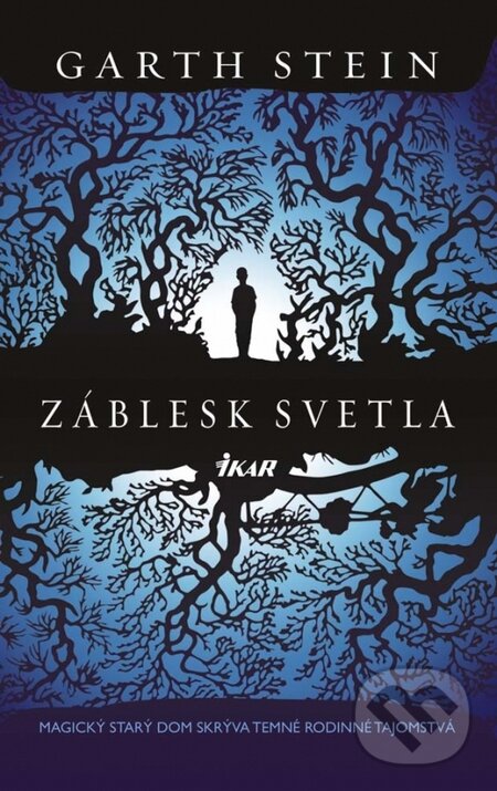 Kniha: Záblesk svetla (Garth Stein). Ikar, 2015 Kniha: Záblesk svetla (Garth Stein). Ikar, 2015