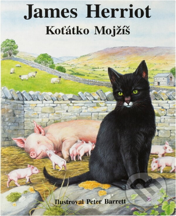 Kniha: Koťátko Mojžíš (James Herriot). Ametyst, 1997 Kniha: Koťátko Mojžíš (James Herriot). Ametyst, 1997