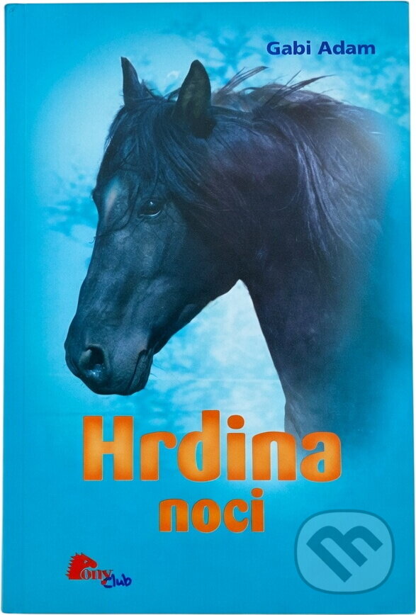 Kniha: Hrdina noci (Gabi Adam). , 2007 Kniha: Hrdina noci (Gabi Adam). , 2007