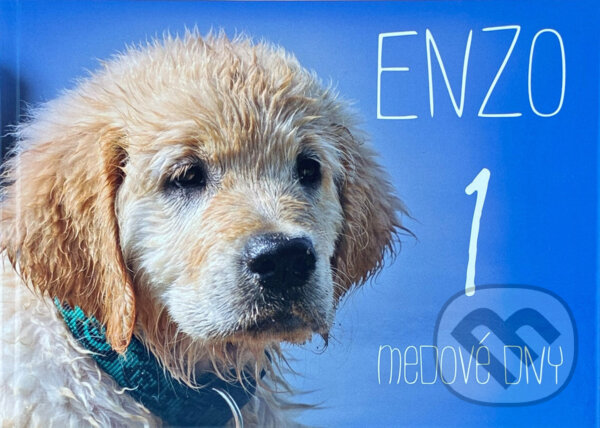 Kniha: Enzo (Ivana Hellerová, Lenka Hellerová a Šárka Hellerová). , 2014 Kniha: Enzo (Ivana Hellerová, Lenka Hellerová a Šárka Hellerová). , 2014